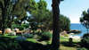 Is Morus Relais 